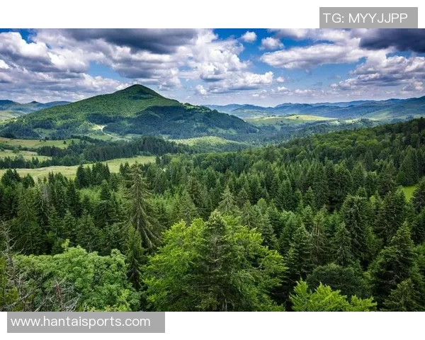 绿色森林与牛津联的激战谁能在赛场上笑到最后