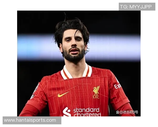 探秘索博斯洛伊的历史与文化魅力，揭开这座城市的神秘面纱