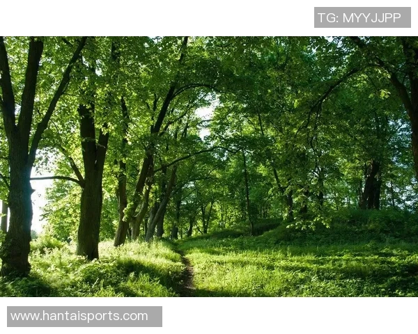 绿色森林与牛津联对决分析及胜负推荐探讨